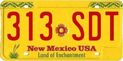 NM license plate 313SDT