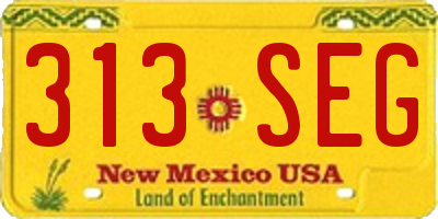 NM license plate 313SEG