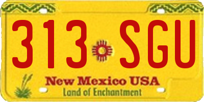 NM license plate 313SGU
