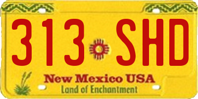 NM license plate 313SHD