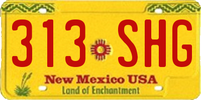 NM license plate 313SHG