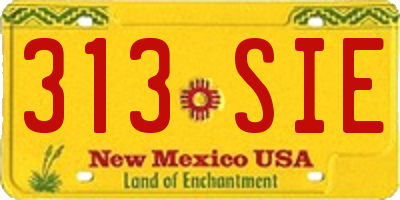 NM license plate 313SIE