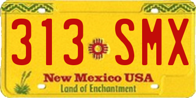 NM license plate 313SMX