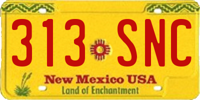 NM license plate 313SNC