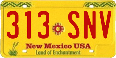 NM license plate 313SNV