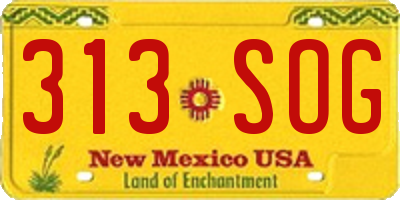 NM license plate 313SOG