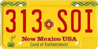 NM license plate 313SOI