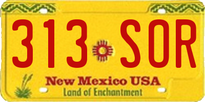 NM license plate 313SOR