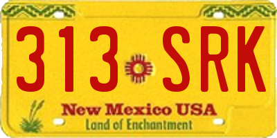 NM license plate 313SRK