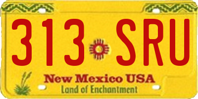 NM license plate 313SRU