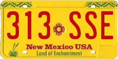 NM license plate 313SSE