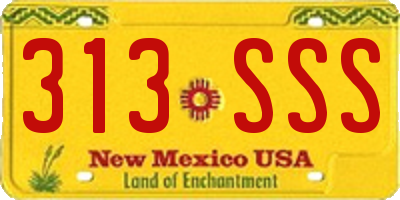 NM license plate 313SSS