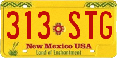NM license plate 313STG