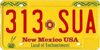 NM license plate 313SUA