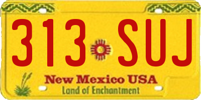 NM license plate 313SUJ
