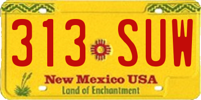NM license plate 313SUW