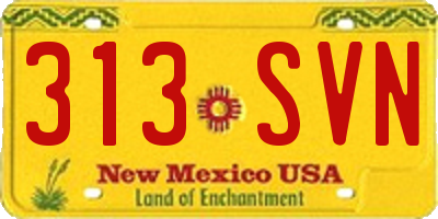 NM license plate 313SVN