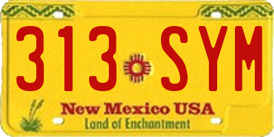 NM license plate 313SYM