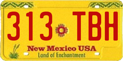 NM license plate 313TBH