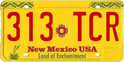 NM license plate 313TCR