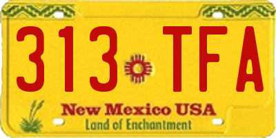 NM license plate 313TFA