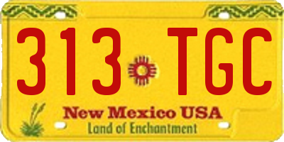 NM license plate 313TGC