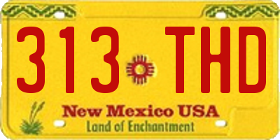 NM license plate 313THD