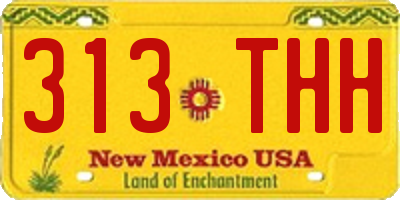 NM license plate 313THH