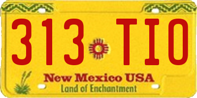 NM license plate 313TIO