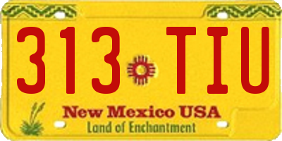 NM license plate 313TIU
