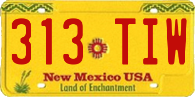 NM license plate 313TIW