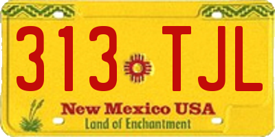 NM license plate 313TJL