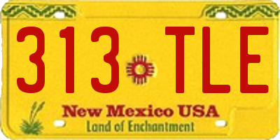 NM license plate 313TLE
