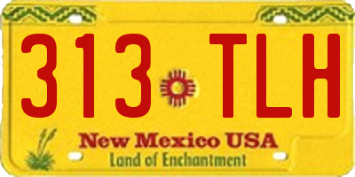 NM license plate 313TLH