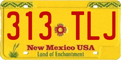 NM license plate 313TLJ