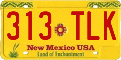 NM license plate 313TLK