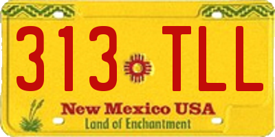 NM license plate 313TLL