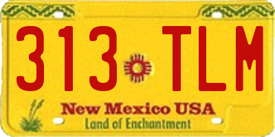 NM license plate 313TLM