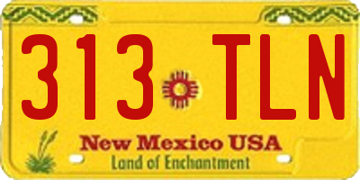 NM license plate 313TLN