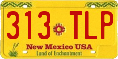 NM license plate 313TLP