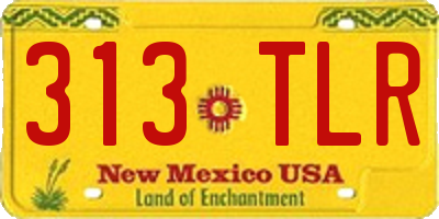 NM license plate 313TLR