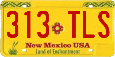 NM license plate 313TLS