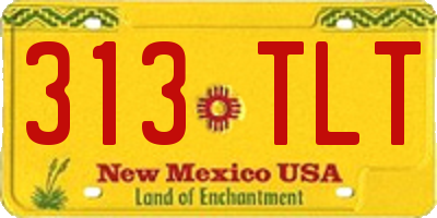 NM license plate 313TLT
