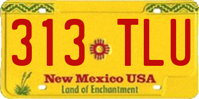 NM license plate 313TLU