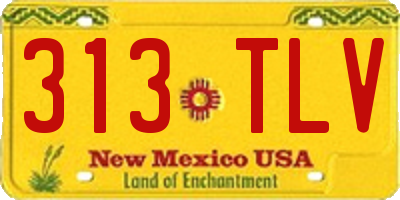 NM license plate 313TLV