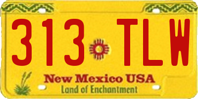 NM license plate 313TLW