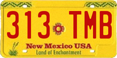 NM license plate 313TMB