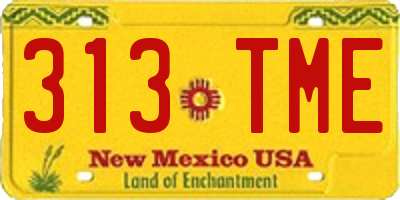 NM license plate 313TME