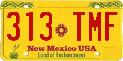 NM license plate 313TMF