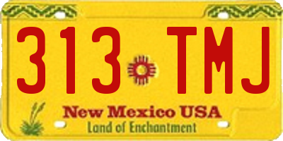 NM license plate 313TMJ